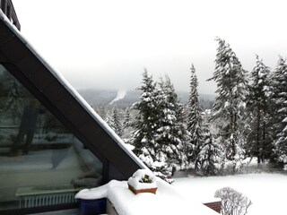 Aussicht auf den Bocksberg