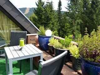 Apartamento de vacaciones Hahnenklee Grabación al aire libre 5