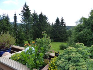 Appartement de vacances Hahnenklee Enregistrement extérieur 5