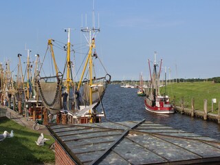 Fischkutter in Greetsiel