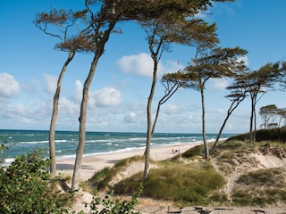 Darßer Weststrand, einer der schönsten Strände der Welt