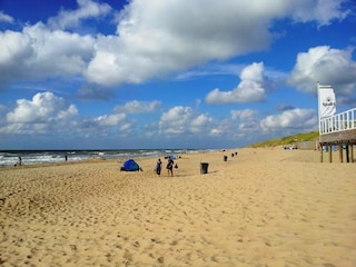 Der schönste Strand Nordhollands