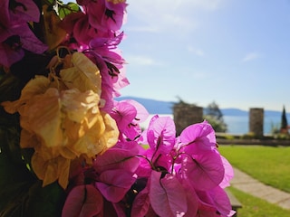 Appartamento per vacanze Gargnano Registrazione all'aperto 7