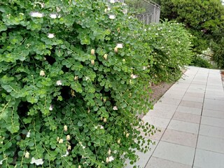 Appartamento per vacanze Gargnano Registrazione all'aperto 11