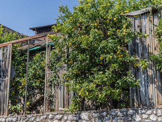 Appartamento per vacanze Gargnano Ambiente 18