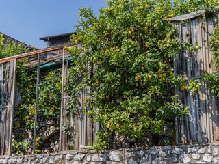 Vakantieappartement Gargnano Omgeving 18