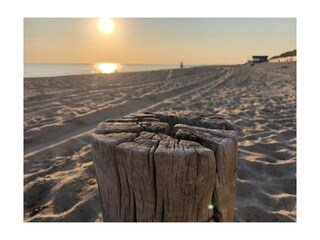 Villa Dishoek Caratteristiche 31