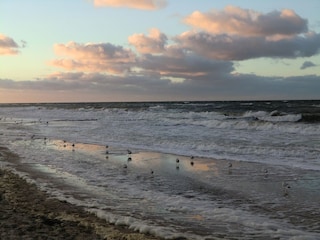 Kühlungsborn Strandspaziergang im Winter