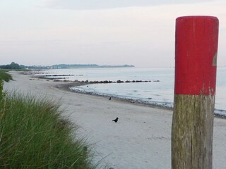 Blick auf den Strand