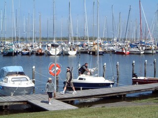 Hafen von Fehmarn