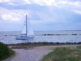 Segelschiff auf der Ostsee