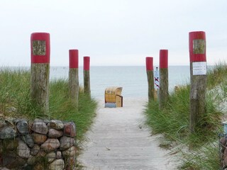 Weg zum Ostseestrand