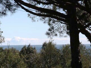 Villa Ramatuelle Ambiente 30