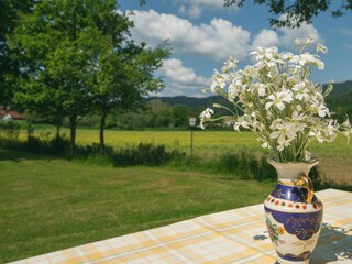 Vakantieappartement St. Kanzian Buitenaudio-opname 11