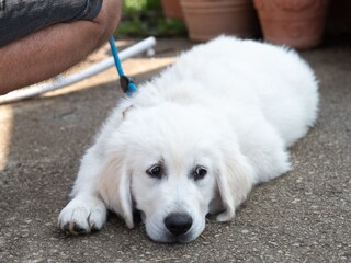 Appartamento per vacanze St. Kanzian Registrazione all'aperto 12