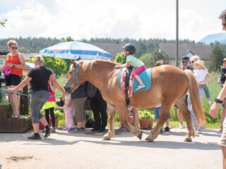 Vakantieappartement St. Kanzian Omgeving 37