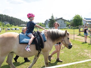 Vakantieappartement St. Kanzian Omgeving 38