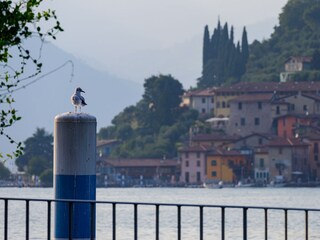 Appartamento per vacanze Parzanica Ambiente 30