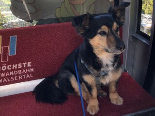 Appartamento per vacanze Mittelberg Registrazione all'aperto 2