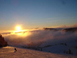 Vakantieappartement Feldberg im Schwarzwald Omgeving 31
