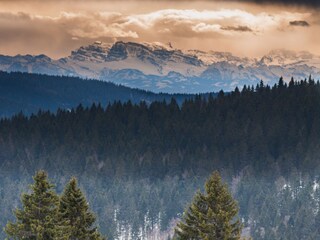 Apartamento de vacaciones Feldberg im Schwarzwald Entorno 29