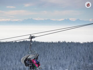 Appartement de vacances Feldberg im Schwarzwald Environnement 31