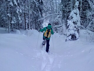 Appartamento per vacanze Feldberg im Schwarzwald Ambiente 32
