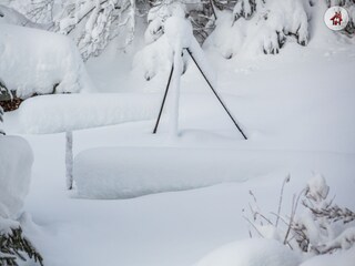 Vakantieappartement Feldberg im Schwarzwald Buitenaudio-opname 11
