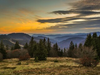 Apartamento de vacaciones Feldberg im Schwarzwald Entorno 36