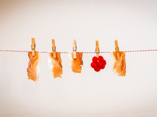 Appartamento per vacanze Feldberg im Schwarzwald Caratteristiche 21