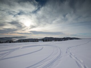 Appartement de vacances Feldberg im Schwarzwald Environnement 34