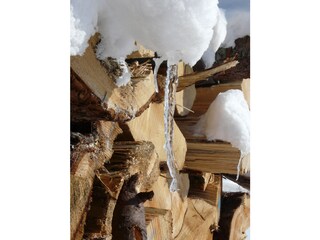 Appartement de vacances Feldberg im Schwarzwald Enregistrement extérieur 12