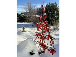 Appartement de vacances Feldberg im Schwarzwald Enregistrement extérieur 15