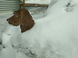 Vakantieappartement Feldberg im Schwarzwald Buitenaudio-opname 16