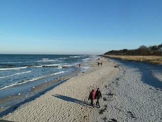 Ferienwohnung Zingst Umgebung 14