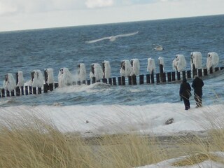 Zingster Strand im Winter