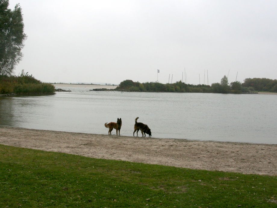 Ferienhaus Birgit mit Hund, Nordsee, Holland, Ijsselmeer Firma