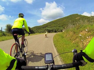 Cycling tours