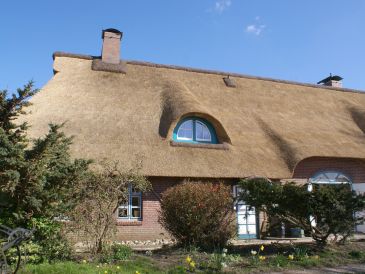 Reetdach Ferienhaus-Hälfte am Deich