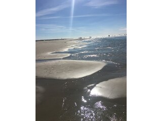 Appartamento per vacanze Ouddorp Ambiente 23