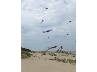 Appartamento per vacanze Ouddorp Ambiente 18