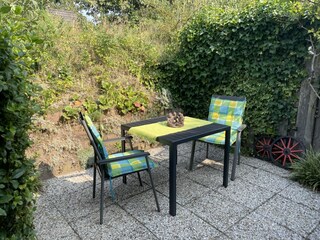 Appartamento per vacanze Ouddorp Registrazione all'aperto 5