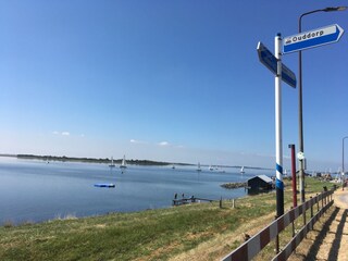 Appartamento per vacanze Ouddorp Ambiente 25