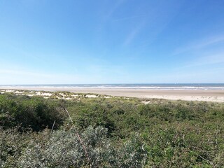 Vakantieappartement Ouddorp Omgeving 20