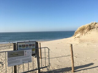 Feinster Sand am Strand hinter dem Leuchtturm