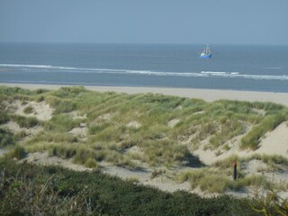 Appartamento per vacanze Ouddorp Ambiente 20