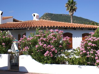 Casa per le vacanze Valledoria Registrazione all'aperto 5