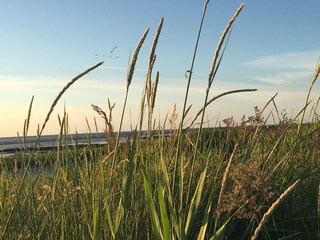 Appartamento per vacanze Duhnen Ambiente 35