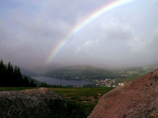 Blick vom Hochfirst auf Titisee