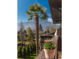 Apartment Meran Outdoor Recording 6